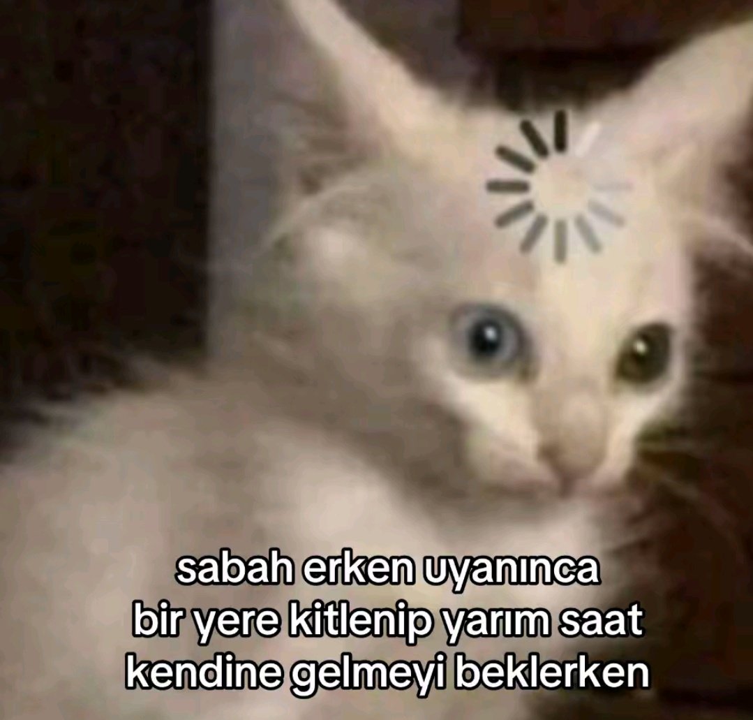 Hayatı sorguluyoruz.