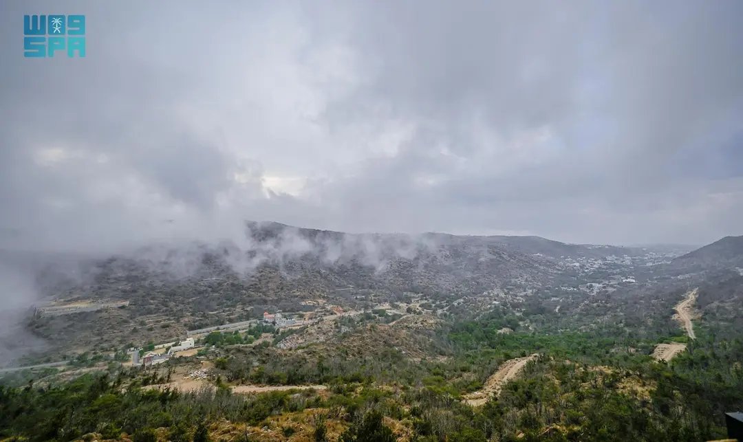 #صور_واس | الضباب والغيوم وأجواء الباحة الربيعية تبهج السياح والمتنزهين.
#واس_جودة_الحياة