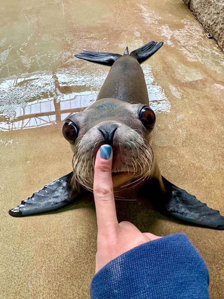 shhhhhhhhh.... be quietttt....