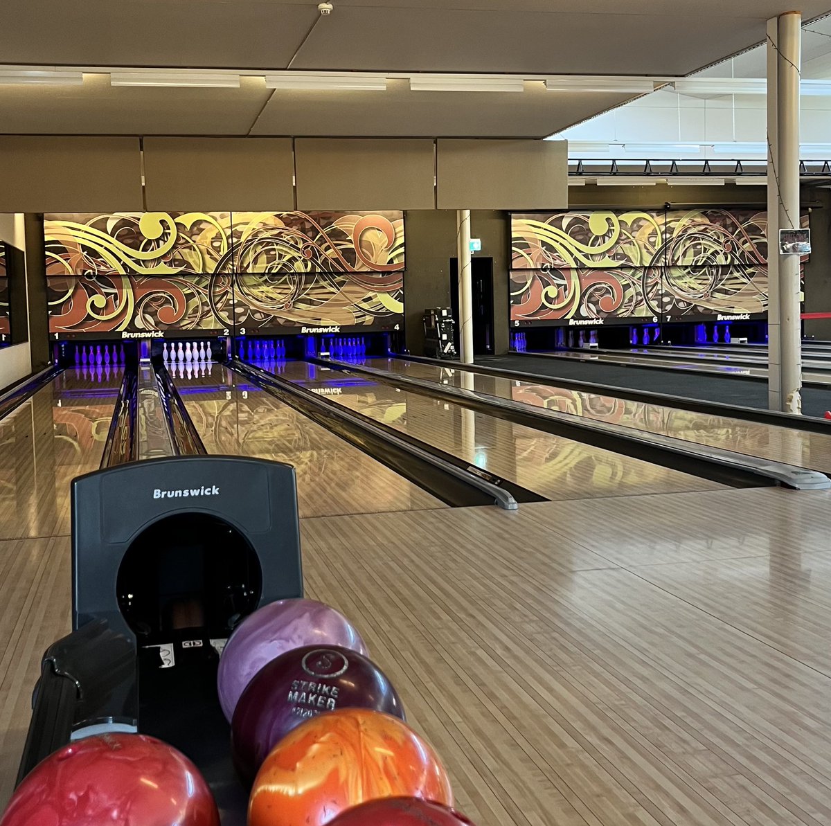 where was my bison🫩