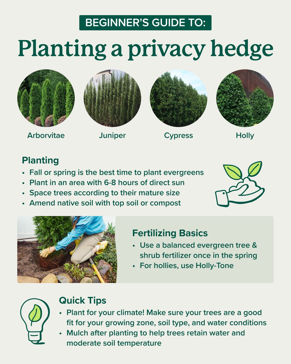 Fall is just around the corner, and it's the perfect time to add a privacy hedge to your landscape! 🌲🌲🌲

Find the best trees for your yard → bit.ly/47IyNvb