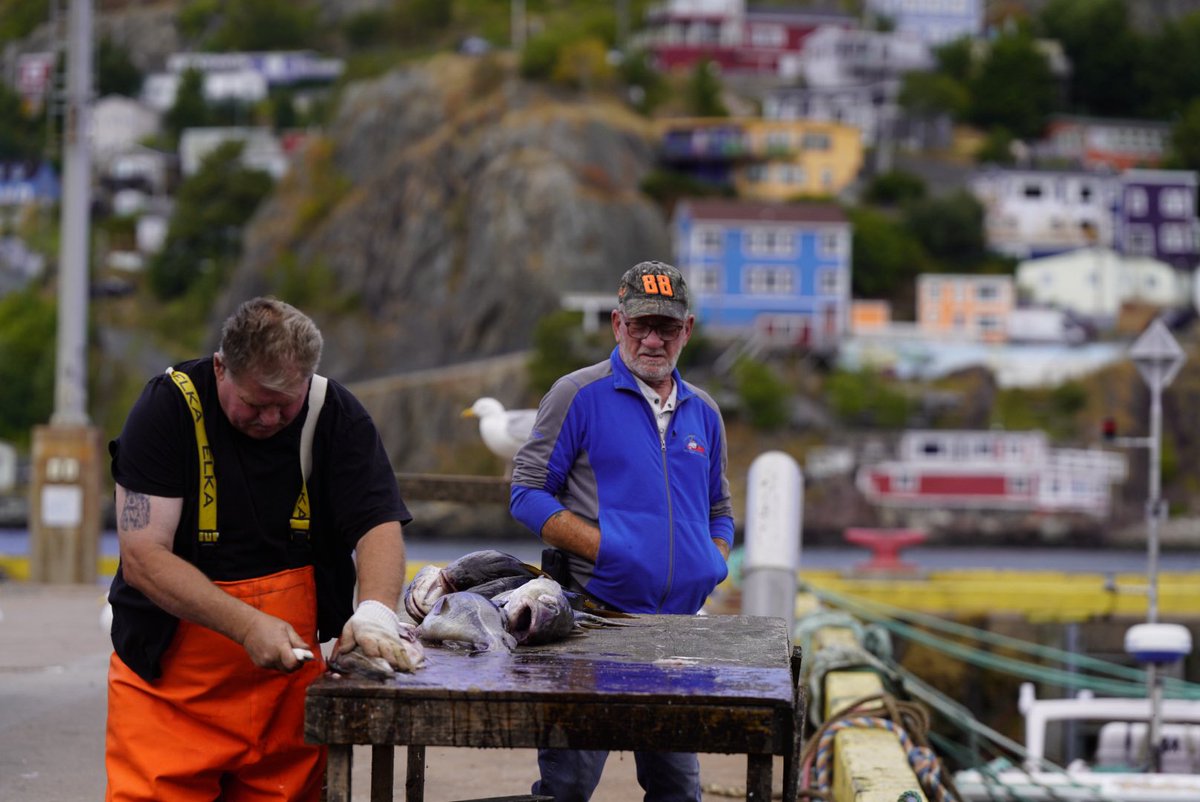 John Morris tweet media