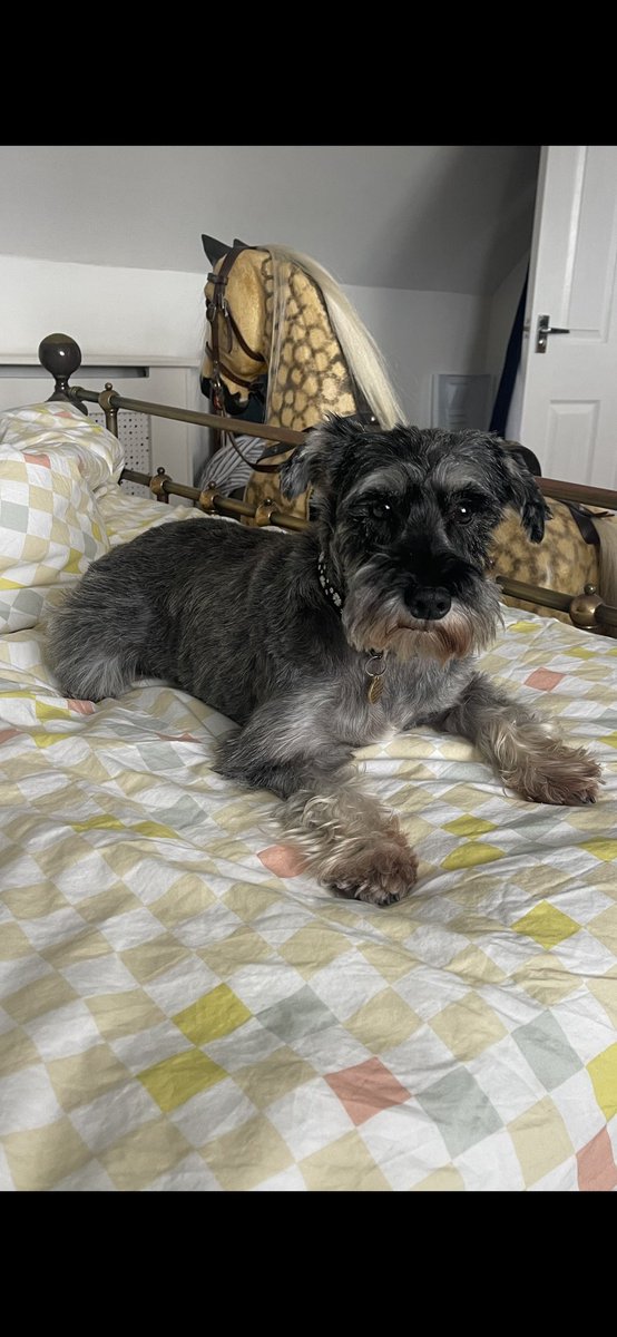 Lauren marks tweet media