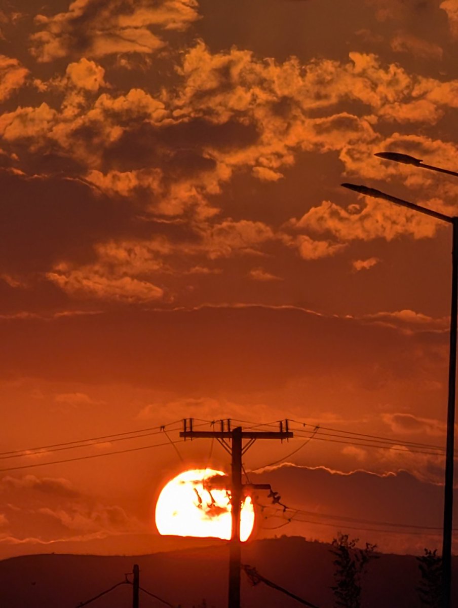 AsarkoS_'s tweet image. #AXD