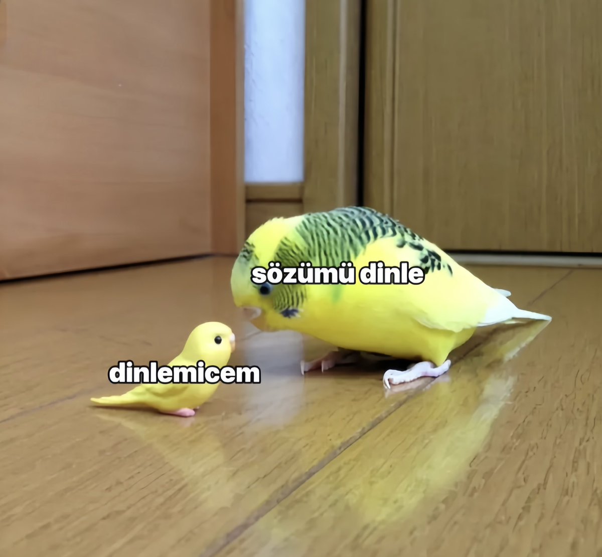 aşkımm bak biz