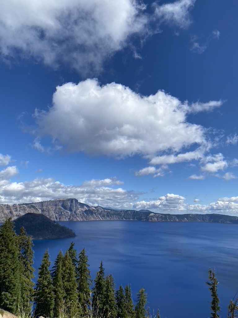 dmskis's tweet image. True education doesn’t fill the mind—it awakens the soul. #AwakenedLearning #HeartIntelligence #RegenerativeLiving #DareToEvolve #WeAreOne #Sustainable ✍🏼