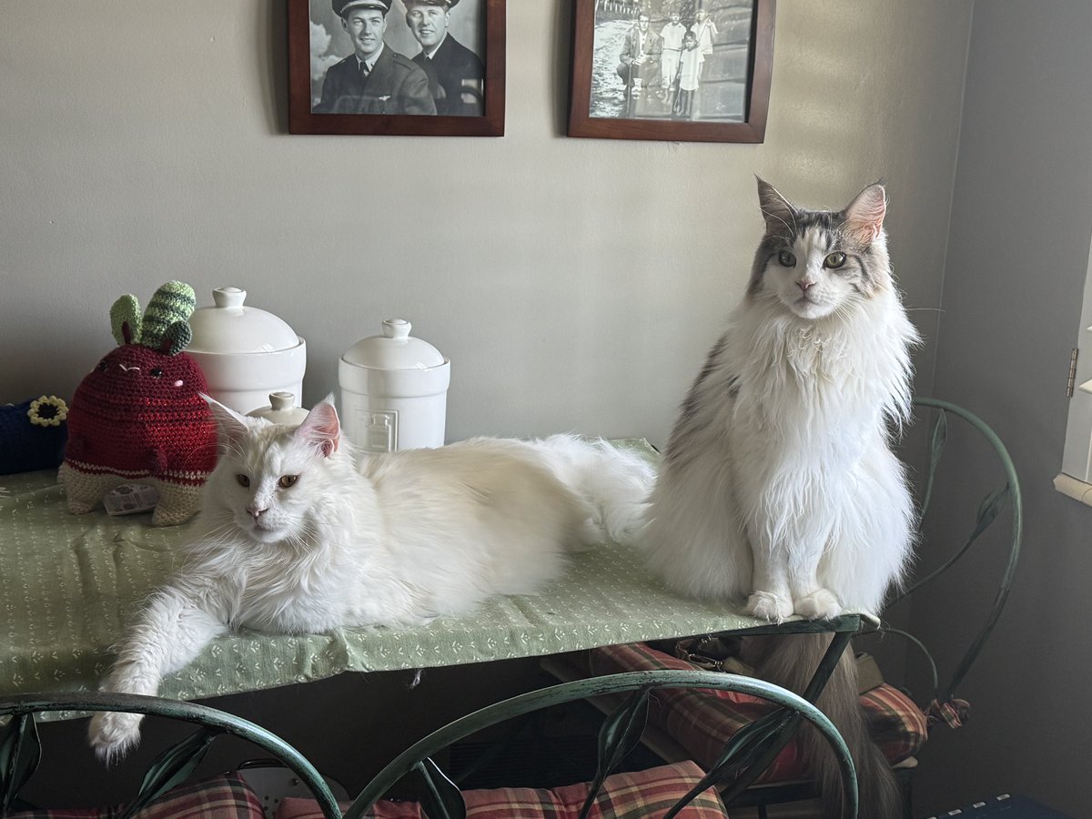 Still Life
Oil on canvas, 2025