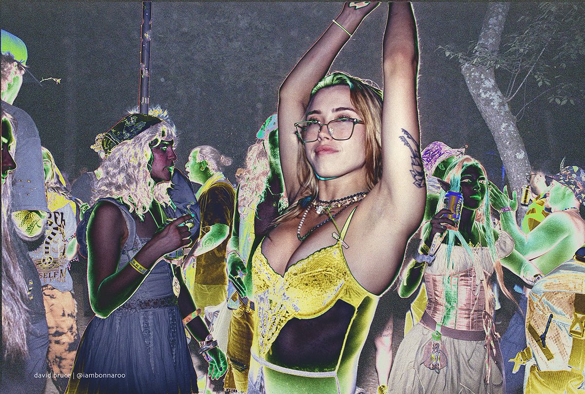 I am Bonnaroo tweet media