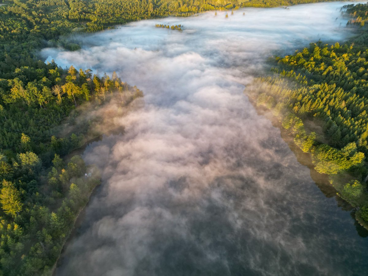WetterOnline's tweet image. Am Sonntag, dem 24. August 2025, beginnt der Tag in Harzgerode recht frisch bei 5 Grad Celsius. Dabei entsteht am Morgen ein beeindruckender Dunst über den Gewässern.
 
📷 Torsten Brehme 

#harzgerode #morgen #nebel #august #morgennebel