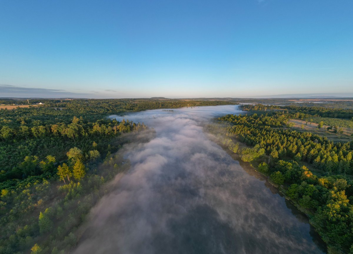 WetterOnline's tweet image. Am Sonntag, dem 24. August 2025, beginnt der Tag in Harzgerode recht frisch bei 5 Grad Celsius. Dabei entsteht am Morgen ein beeindruckender Dunst über den Gewässern.
 
📷 Torsten Brehme 

#harzgerode #morgen #nebel #august #morgennebel