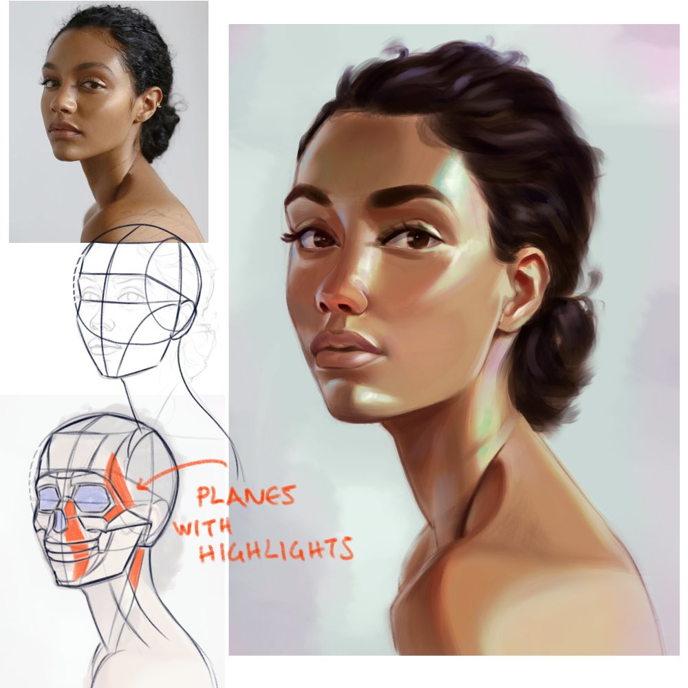 Stylized portrait study