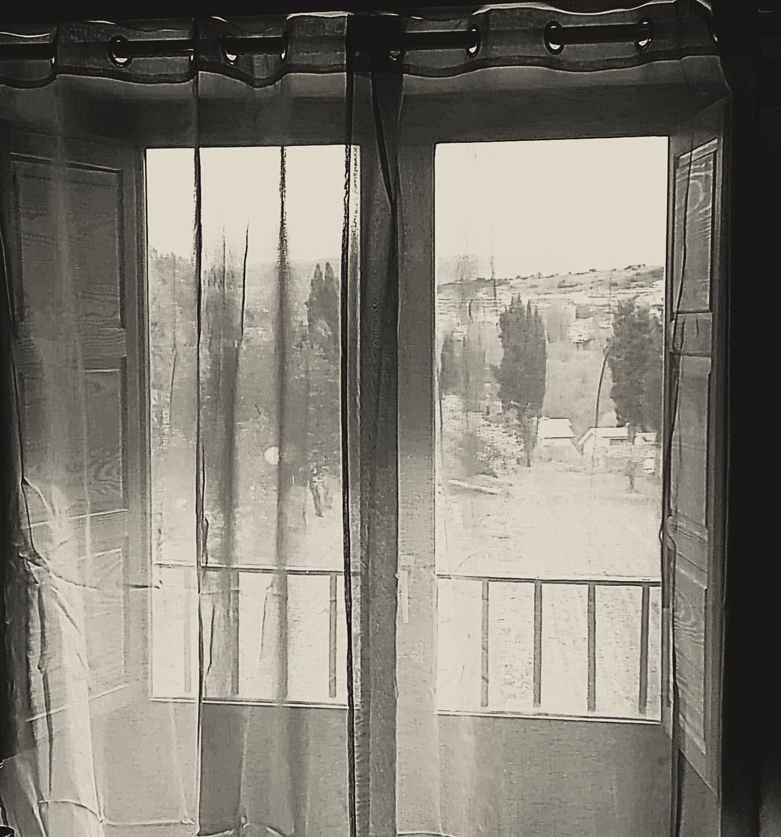 DaniElefantman's tweet image. Transparencias  #ventanas #cortinas #hacerfotos #transparencias #blancoynegro #blackandwhite #blackandwhitephoto