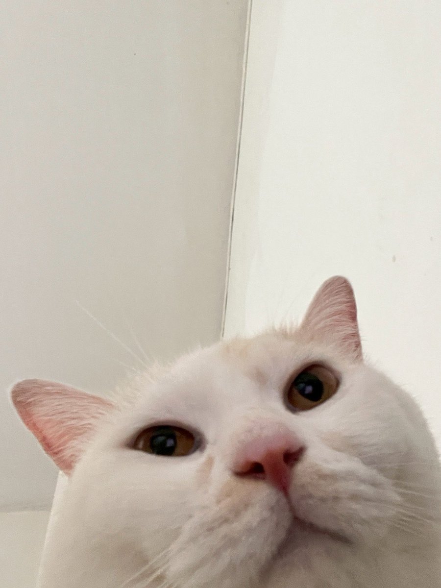 Crazycrow99's tweet image. เต็ม 10/9 ได้แม่เต็มๆ แก้มอ้วน