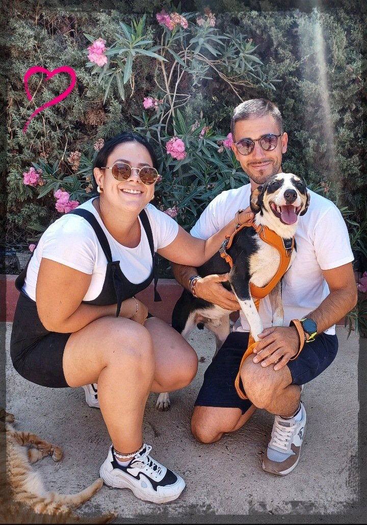 Adoptado nuestro querido Angelo!!!
Gracias a Nacho y a Maria por darle un hogar!!
Estamos muy felices !!! Seguimos adelante!!❤️🐾
teaming.net/abuelitosdeelr…
teaming.net/rescatadosdela…
teaming.net/elrefugiodebro…
TF CONTACTO ☎️ 693219050( WUASAP)