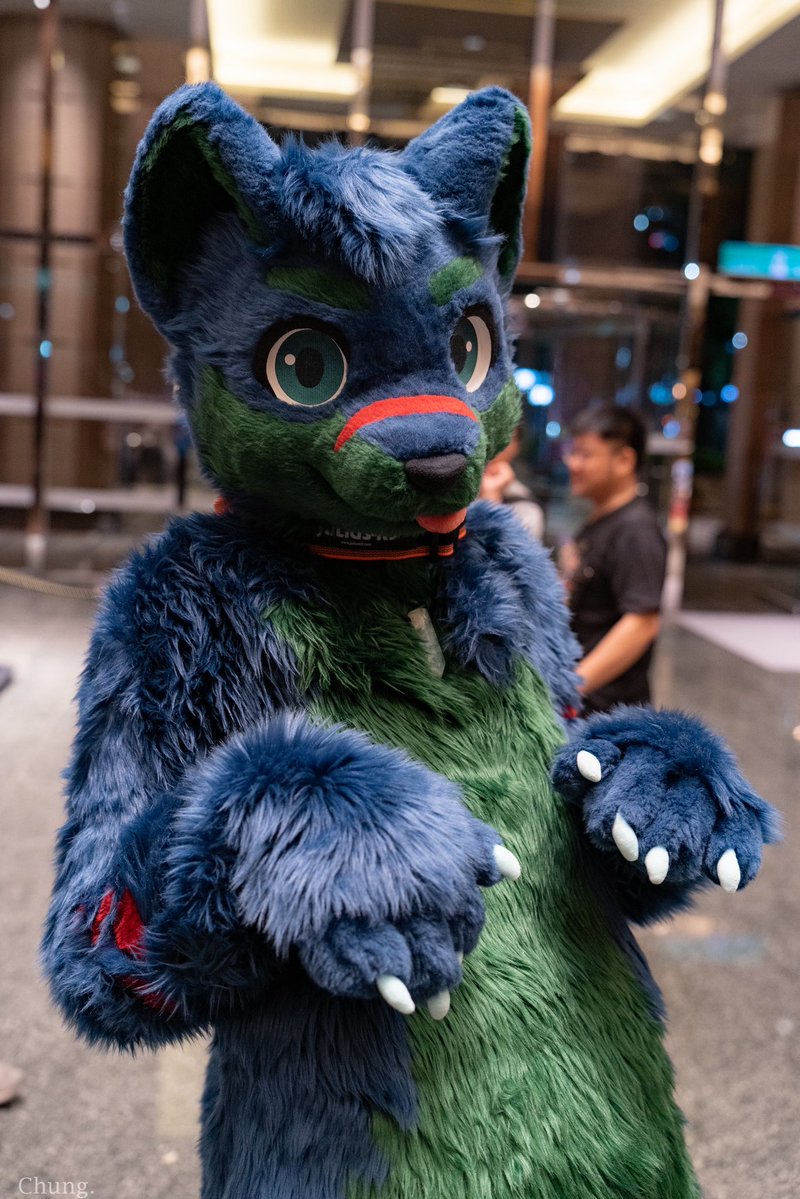 CT the Wolf➡️UTFG (@ctthewolf) on Twitter photo International doggy day?
Woof!
🐾: Me!
📸: <a href="/CangChung0307/">蒼穹Chung🔜大阪Osaka🇯🇵🔜INFURNITY🇹🇼</a>
🪡: <a href="/KemoTianou/">天偶毛作🔜Infurnity</a>
⭕️: <a href="/HappyMiDog/">MiDog 米狗</a>
#FursuitEveryday International doggy day?
Woof!
🐾: Me!
📸: <a href="/CangChung0307/">蒼穹Chung🔜大阪Osaka🇯🇵🔜INFURNITY🇹🇼</a>
🪡: <a href="/KemoTianou/">天偶毛作🔜Infurnity</a>
⭕️: <a href="/HappyMiDog/">MiDog 米狗</a>
#FursuitEveryday