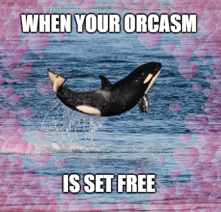 set your $orcasm free