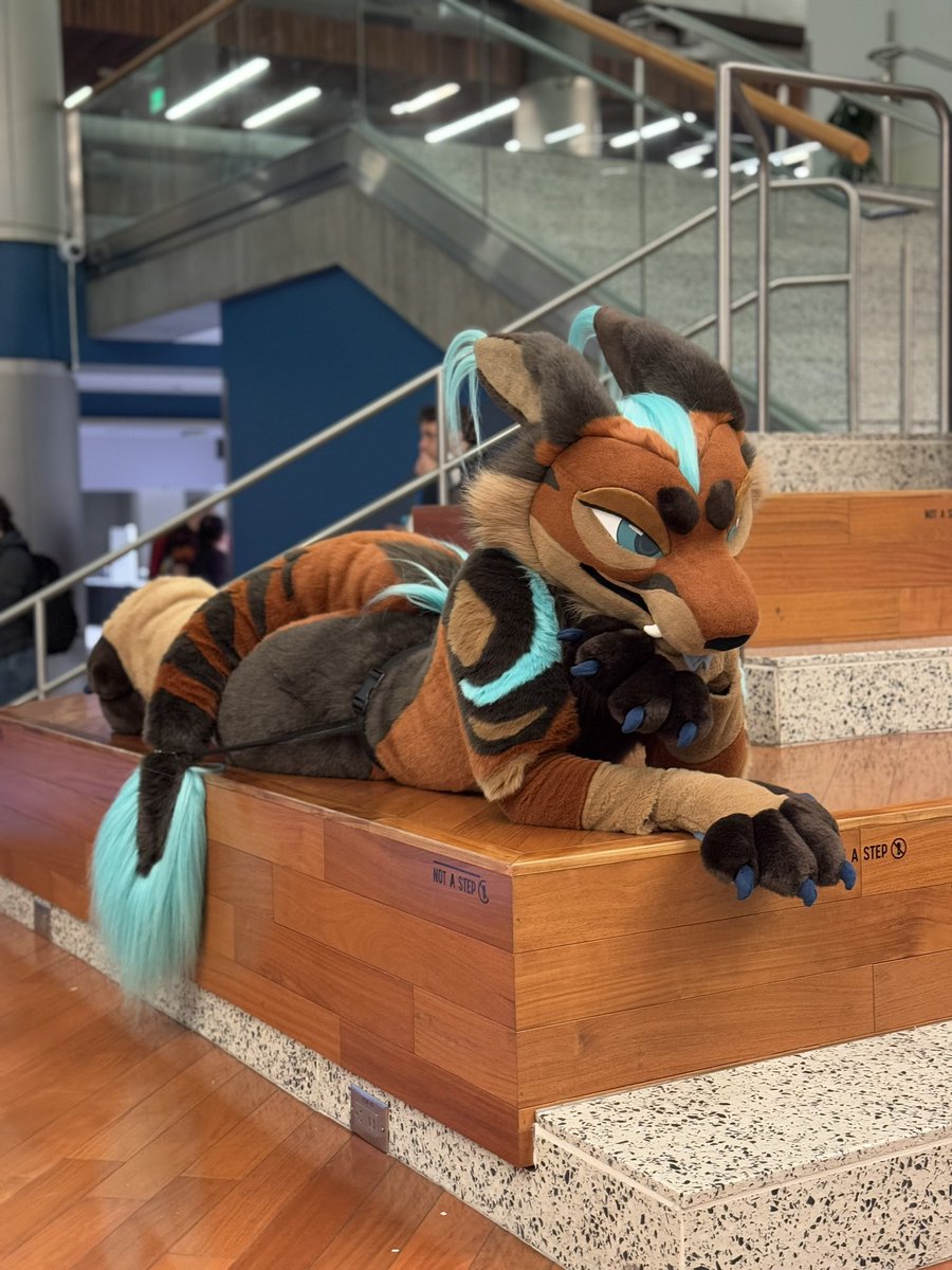 𝘿Σ𝙇𝙏𝘼 🔜FWA (@alphakraftc) on Twitter photo Megaplex soon, who wants to brawl 🤠 Megaplex soon, who wants to brawl 🤠