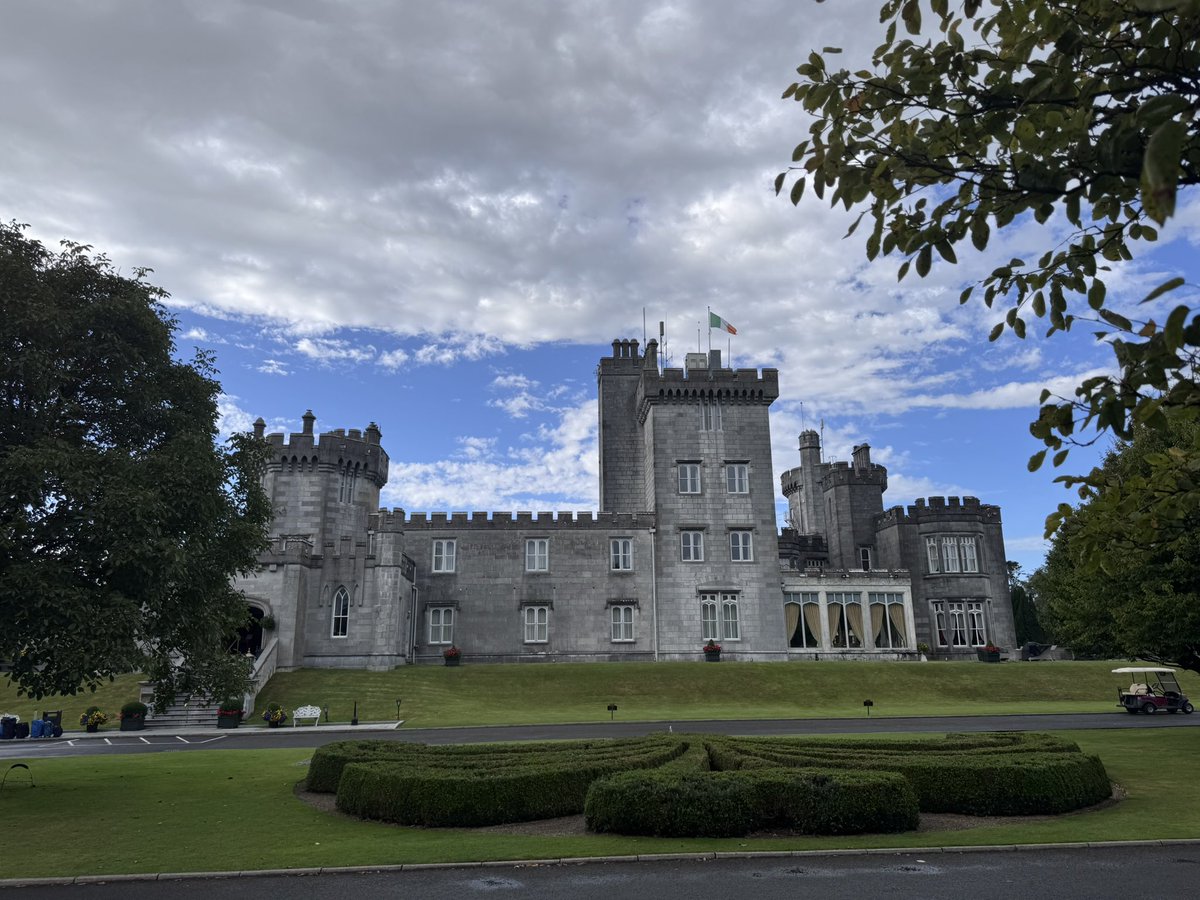 Tiffany Dowd tweet media