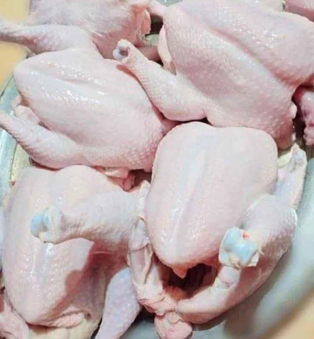 For the first time in six months, frozen chicken has entered Gaza, but the painful reality is that the price of one kilogram reaches $50, and few will be able to afford it. 

If you are browsing, please leave a dot. It's just a dot.  💔😭
chuffed.org/project/139029…
