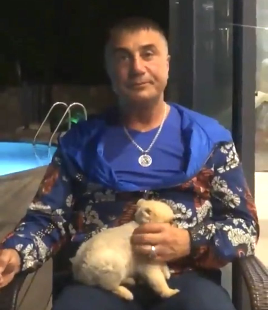 Kul sıkışmayınca Hızır yetişmezmiş.. 

Hayvanlar ve onlara merhamet eden insanlar o kadar zulümler gördü ki… 

Sonunda merhametli bir YİĞİT çıktı geldi ve “durun yeter” dedi ! 

❤️‍🔥 Sedat peker ❤️‍🔥
<a href="/sedat_peker/">Sedat Peker</a>  ♥️🙏🏻🐾