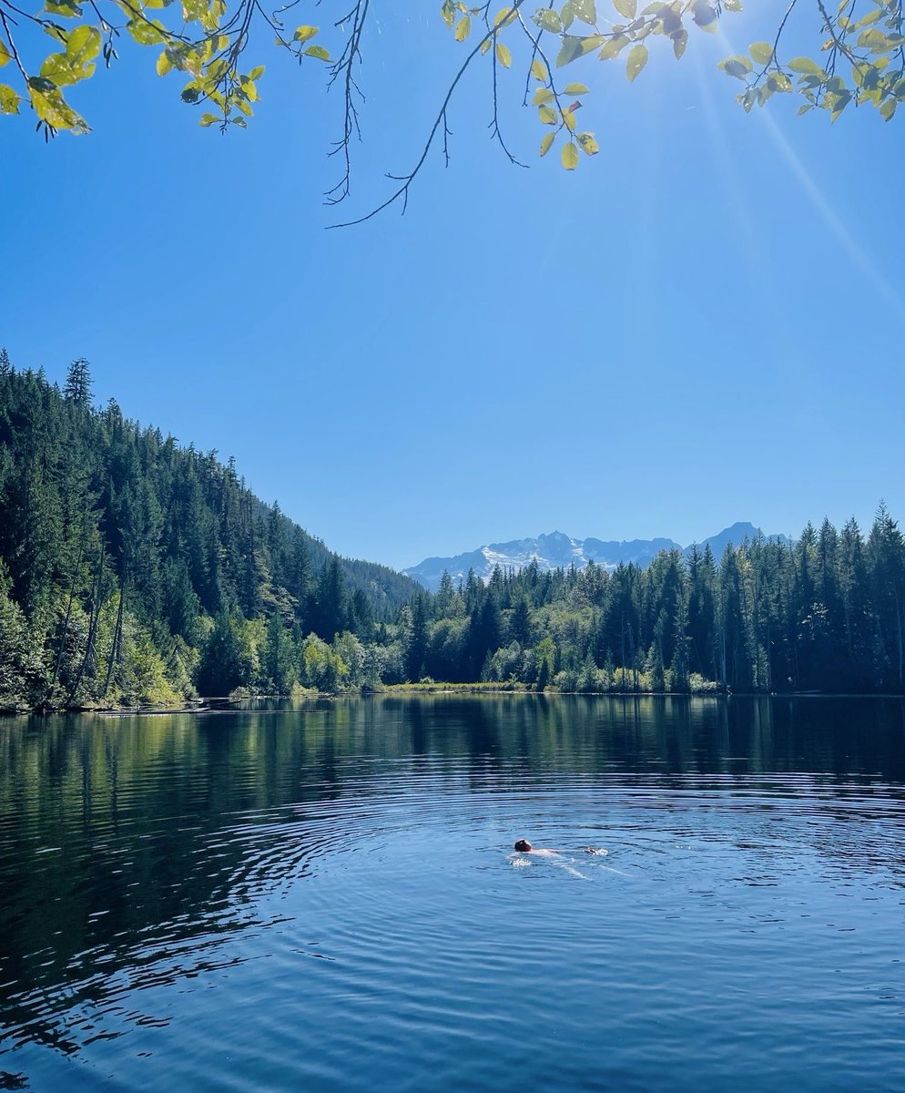 MarinaIxtapa's tweet image. #serenity, a family member having a swim. Can anyone guess where it is 😁?