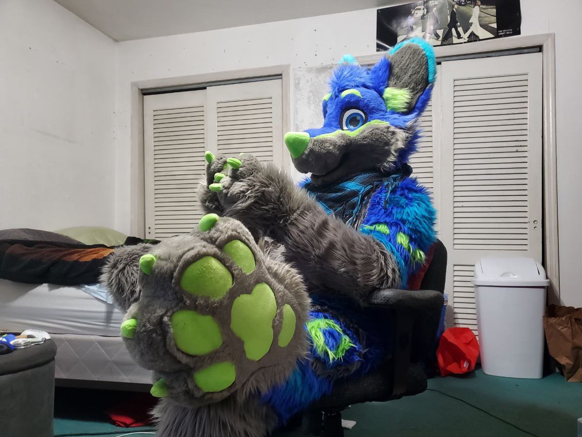 RiggyFolf's tweet image. 🎮🐾🎮🐾🎮🐾

Day 25 of #Pawgust 

📸 @Melvis_Barksy