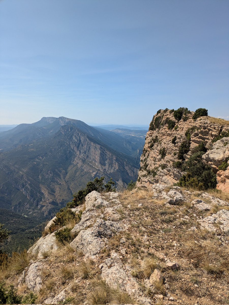 Anna Saballs tweet media