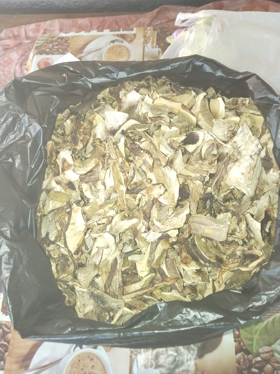 uBaHBacuJIbeBu4 tweet media