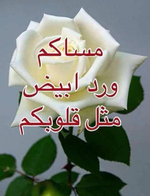 يسعد مساكم بالرضا والسرور 🌹
مساكم سكينة تطمئن بها القلوب،
وأمنيات تطرق أبوابكم محمّلة بالبشائر،
ومحبة صافية كنسيم المساء تلامس الأرواح.
خليها ليلة فرح، وابتسامة ما تغيب❤️

#مساء_الخير