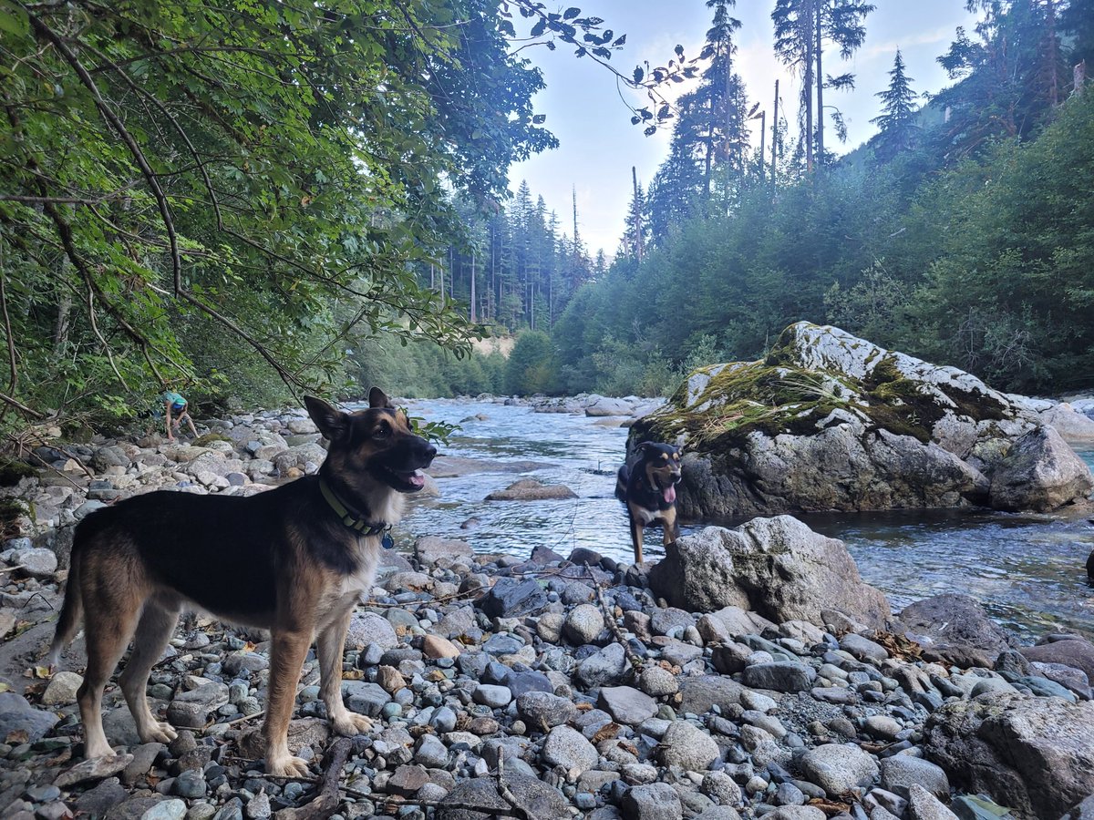 Hoff (@hoffphph) on Twitter photo 