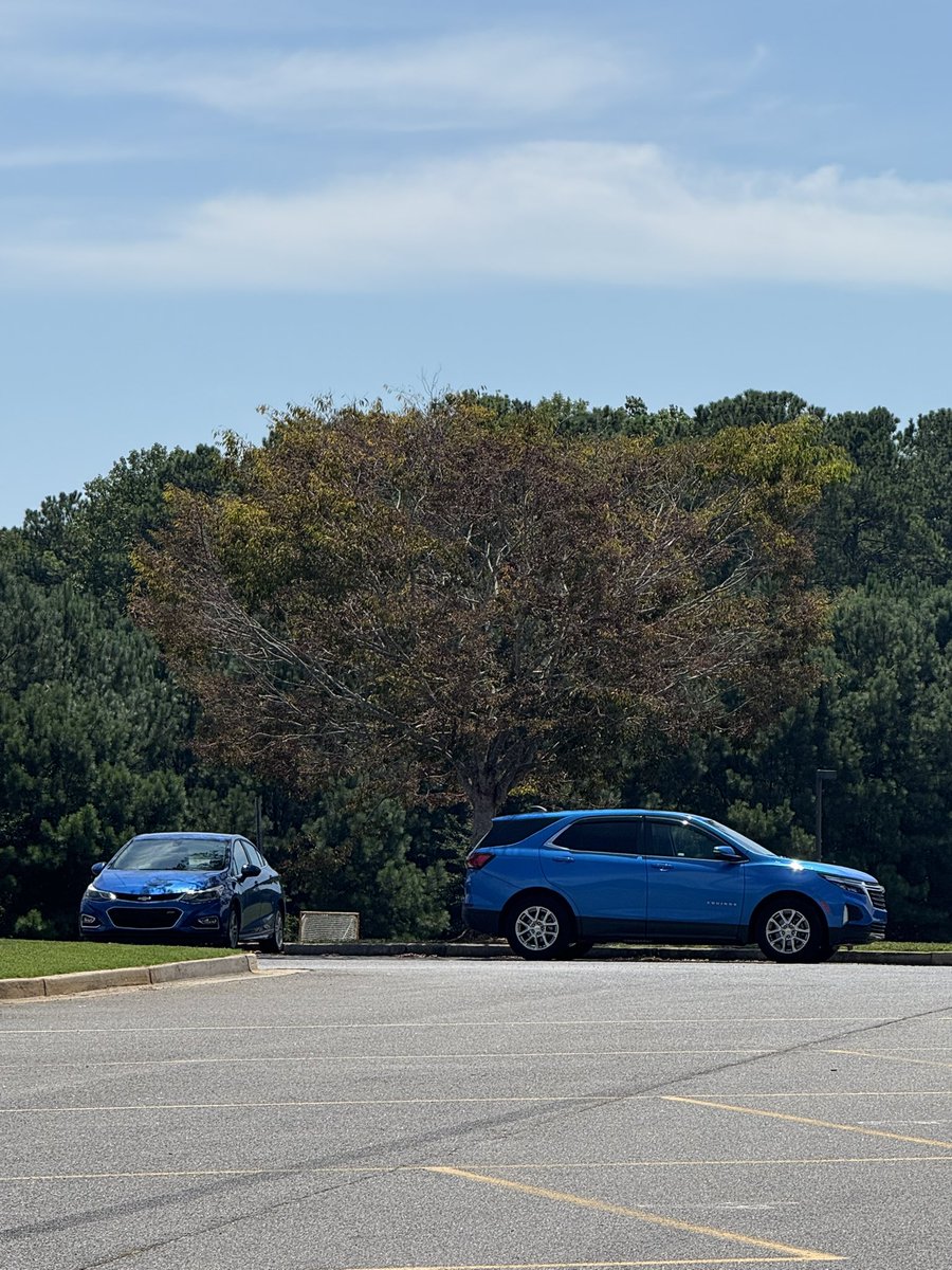 Starting our PBL for the year is one of my favorite activities!! Here is our end of summer tree!! <a href="/cobbscience/">Cobb Science</a>