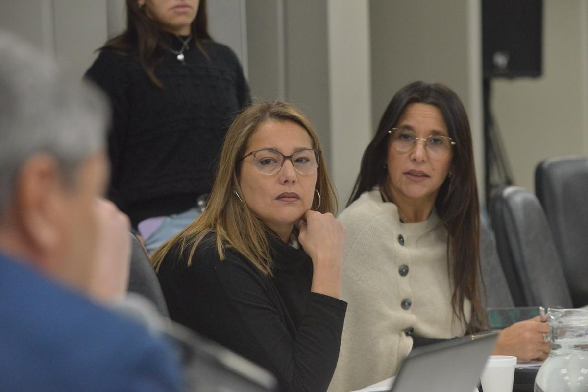 📢 Presentaron un proyecto de ley para garantizar la paridad de género en los tres poderes del Estado y organismos constitucionales.

La propuesta fue impulsada por las senadoras Adriana Cano y Mercedes Derrache.