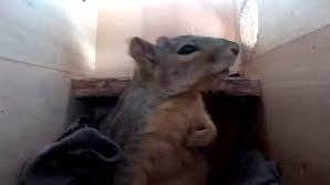 Siempre que tomo siestas me despierto como esta.