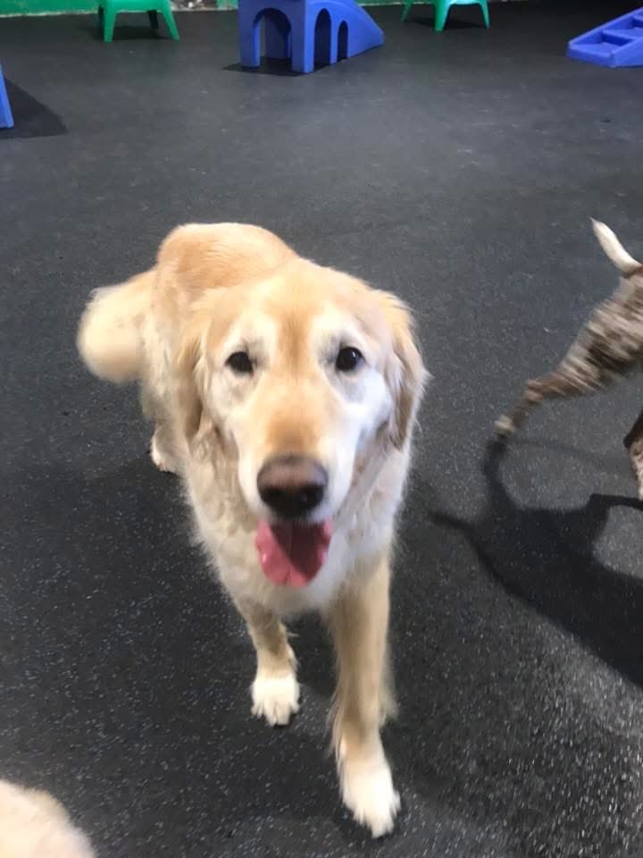 Come 🎵Monday 🎶 we will be alright…after a berry fun day at Camp⛺️