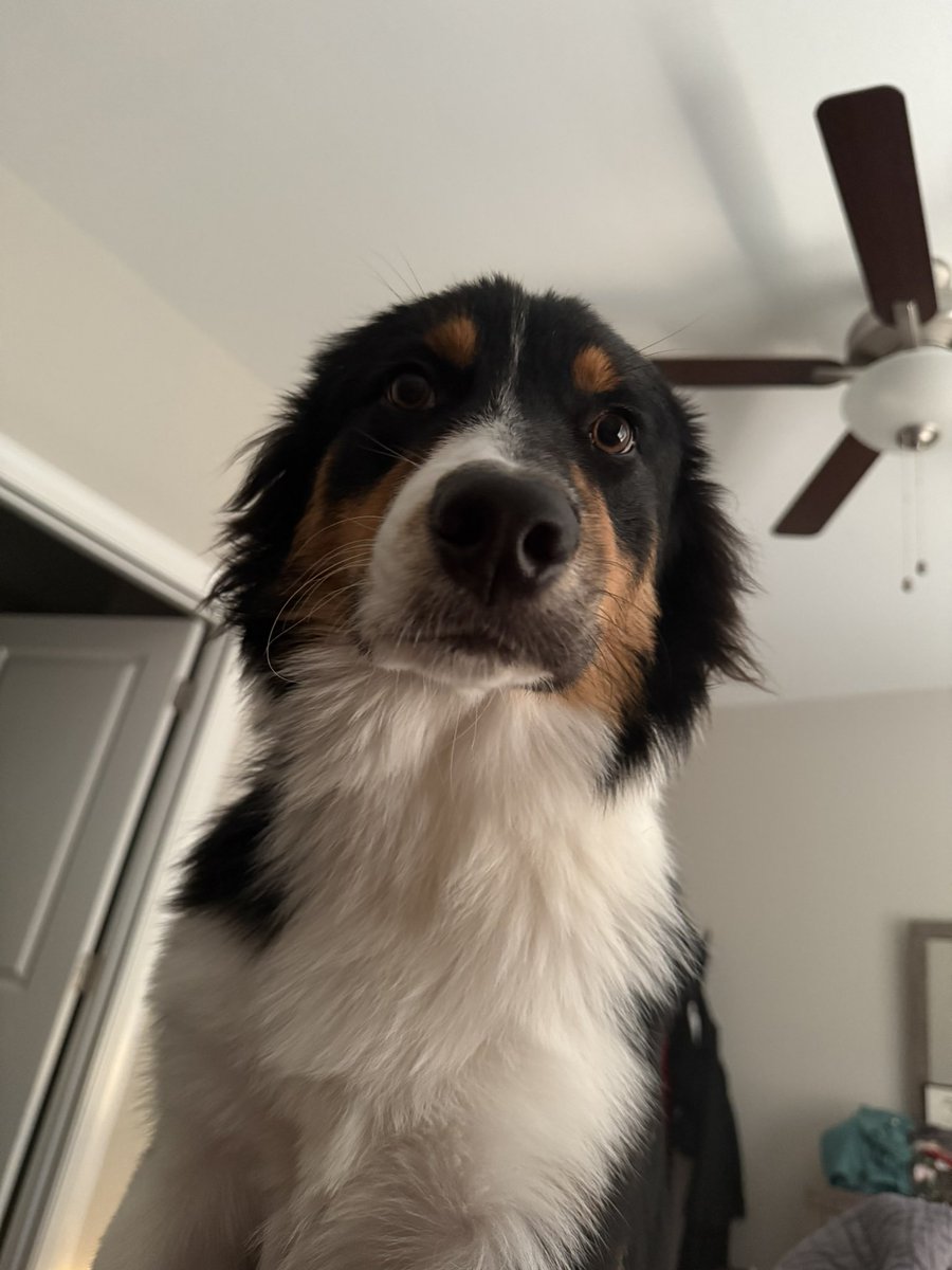 Dr. Lelde Clemente 🇱🇻 tweet media