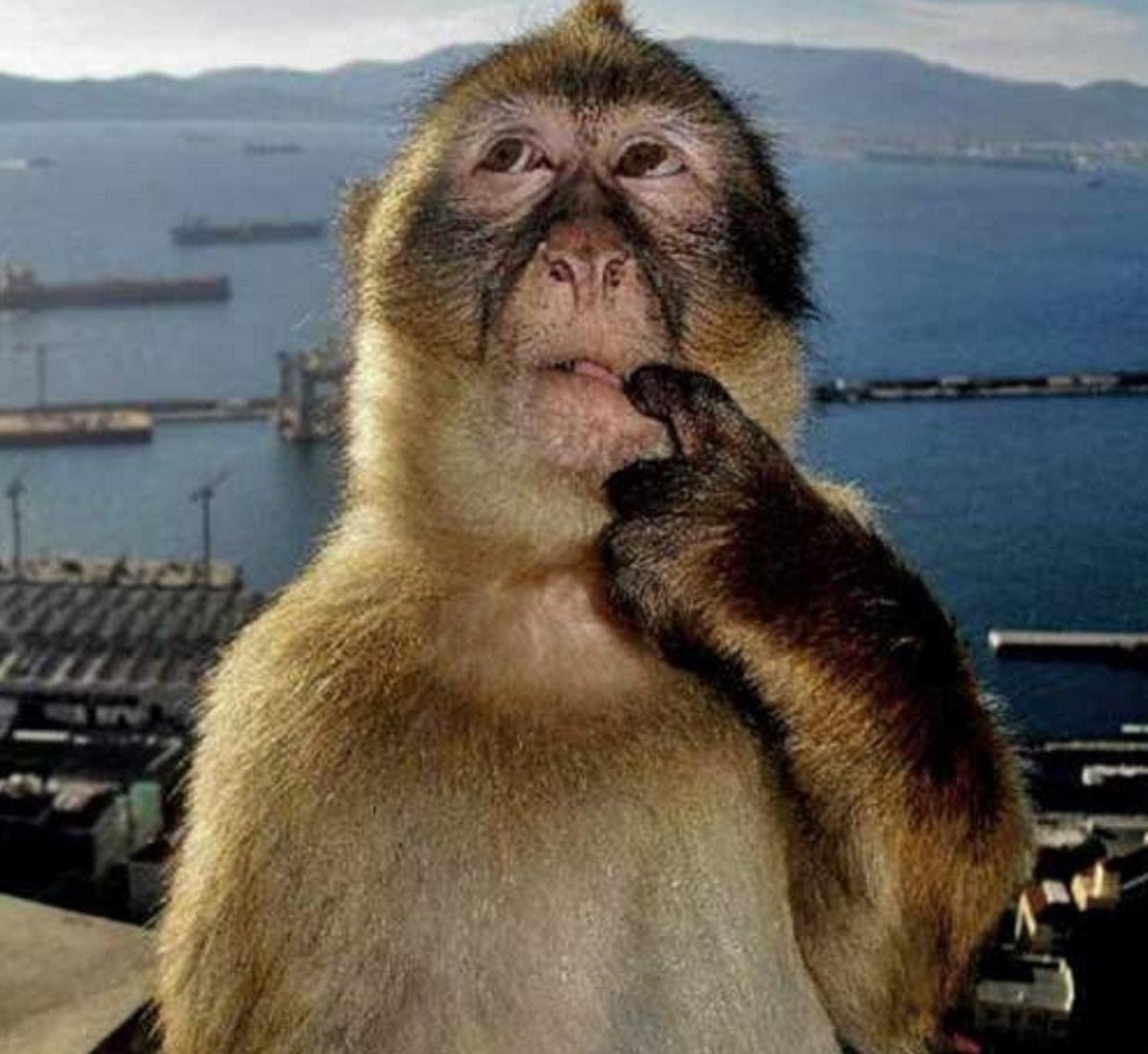 Thinking about doing art trades