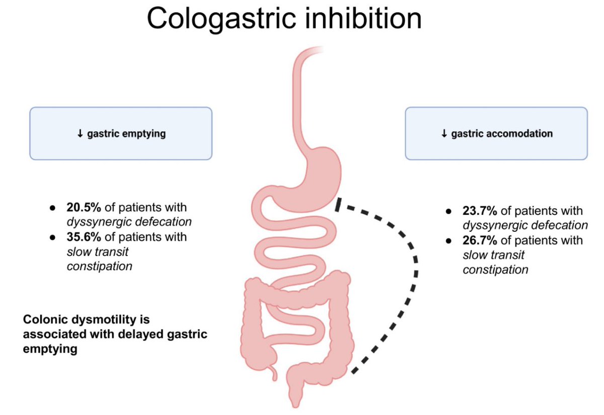 drkeithsiau's tweet image. Patients with severe upper GI symptoms may actually be due to lower GI issues. For example, constipation can lead to gastroparesis type symptoms in a process termed “cologastric inhibition” 💡 

📸: onlinelibrary.wiley.com/doi/10.1111/nm…