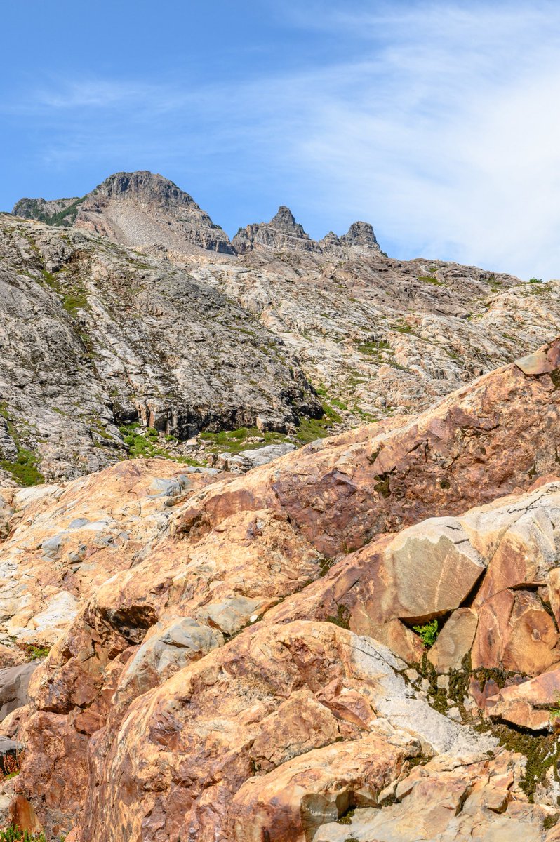 Зов перца tweet media