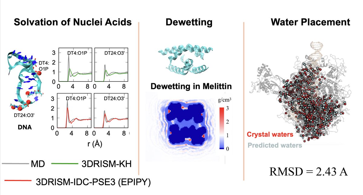 XuhuiHuangChem's tweet photo. Check out our new Python package, EPIPY! 

It streamlines 3DRISM calculations—great for studying RNA/DNA solvation, predicting dewetting, and placing water molecules, etc.

Github: https://t.co/f6xVVbPWPH
Preprint: https://t.co/BL1wqX5JxD

Congs to @p_swanson123 @SiqinCao! https://t.co/I199S4o4JP