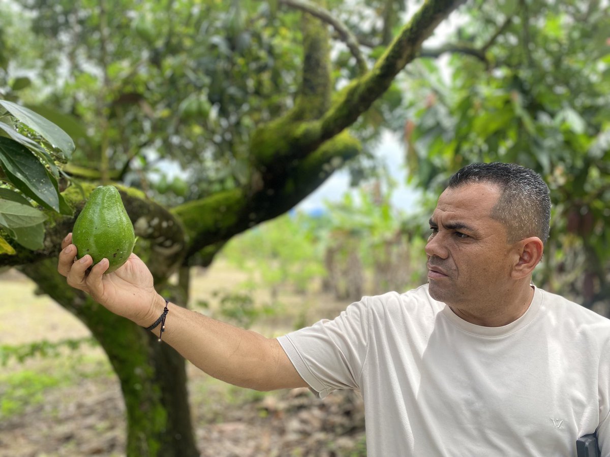luisharcila's tweet photo. La vereda de El Diamante es un sector de alta importancia agrícola en nuestro municipio, hoy visite algunos amigos donde compartimos un café y recordamos buenos momentos. 

Gracias por tener siempre abierta la puerta de sus casas para mi. https://t.co/aQqU39tIcw