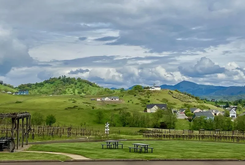 Tracy Kaler tweet media