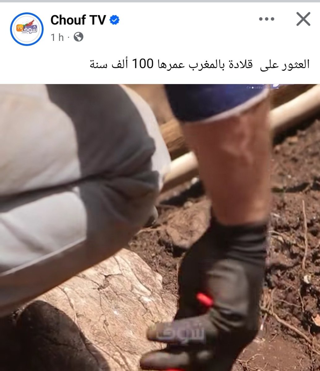حميد المهداوي 🇲🇦 tweet media