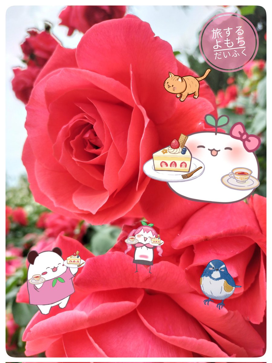 皆さんおはようございます。☺
8月も終わりそうですが、まだまだ暑さがキツイ。😅
皆様、体調にはお気をつけください。🚰

お茶の、カップ☕を描いて見ましたが難しいね。
旅するよもち大福をよろしくお願いします🙇
#京都府立植物園
#TLを花でいっぱいにしよう
#花写真
#薔薇