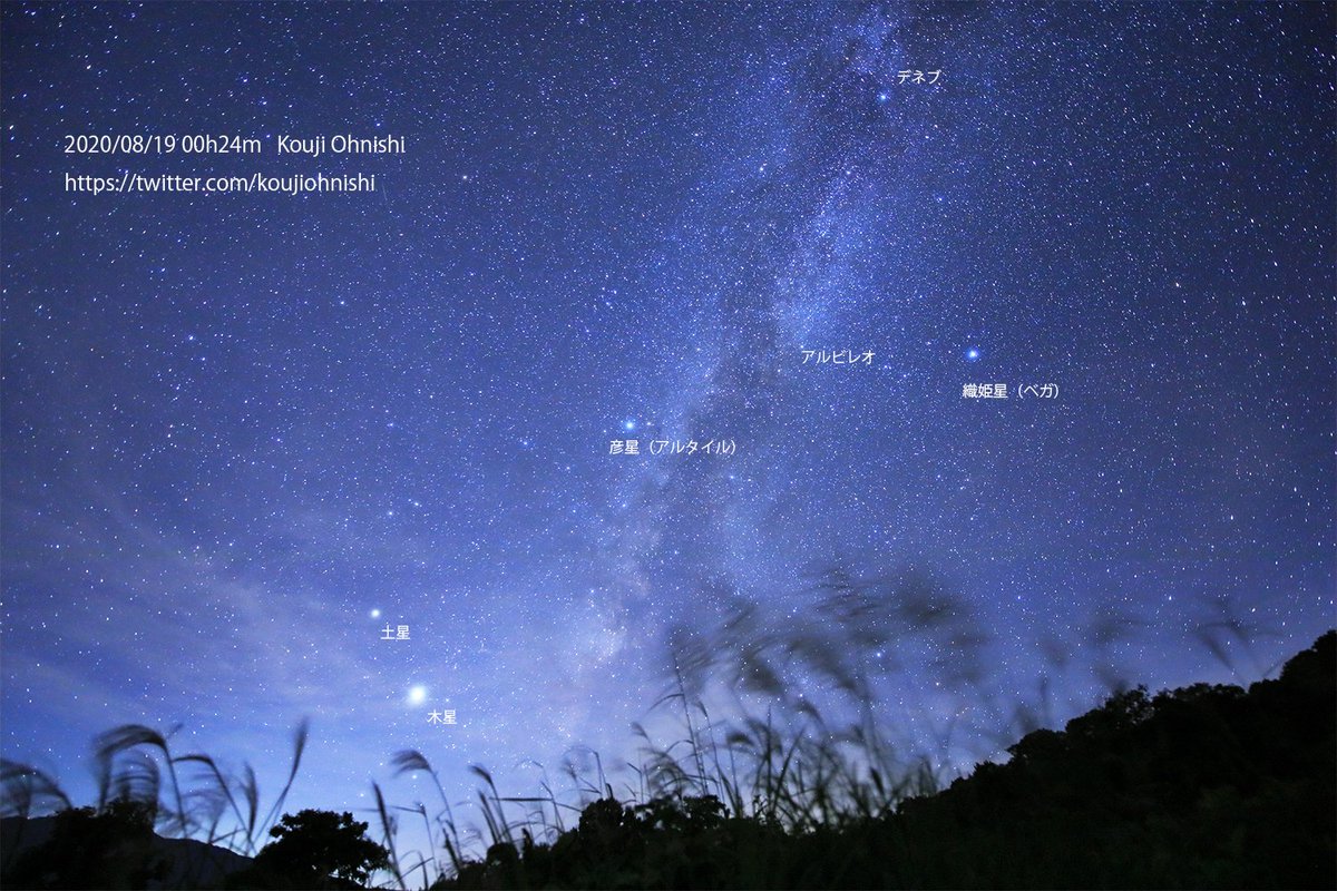 今年の #伝統的七夕(旧暦7月7日)は8月29日!
その夜、天の川を挟んだ北の岸の
#おりひめ(#織姫星＝こと座の #ベガ)と
南の岸の #ひこぼし(#彦星＝わし座の #アルタイル)が
年に一度だけ天の川を渡って出会う
―そんなロマンチックな物語もよく知られています

この時期の #七夕、こんな風に見えるのです