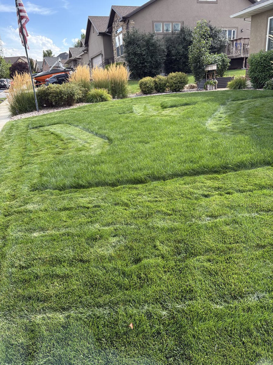 Nathan Gibbons tweet media