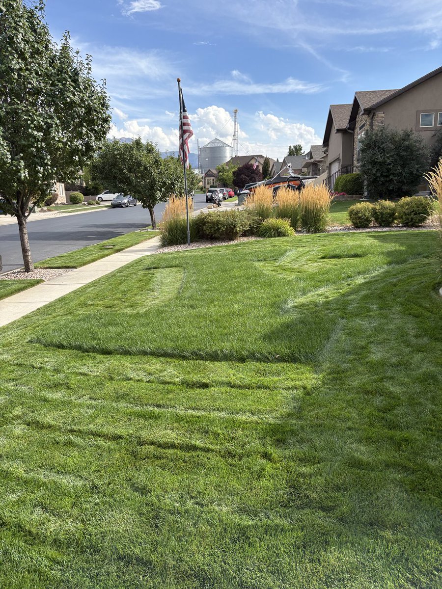 Nathan Gibbons tweet media