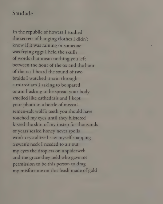 Erika L. Sánchez ~ 

In the republic of flowers I studied
the secrets of hanging clothes