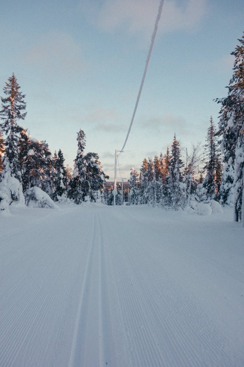 did you know reindeer eye colors shift with the seasons; summer gold to winter blue 

pics from Ruka, Finland