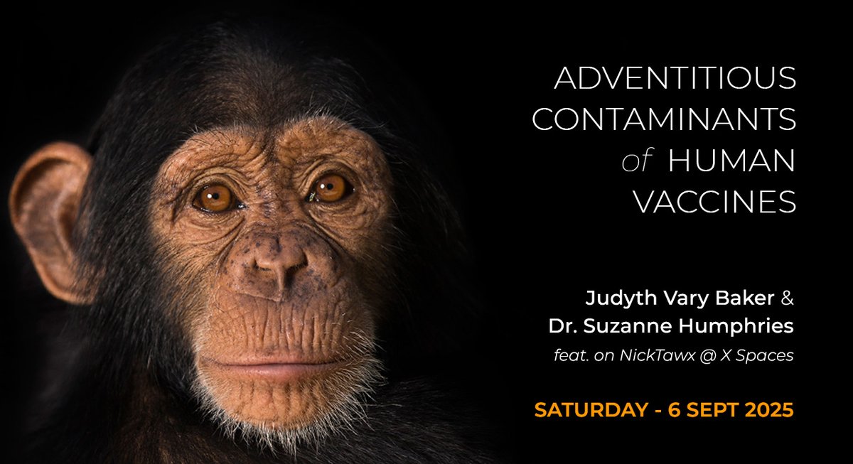 SATURDAY 6 SEPT 2025