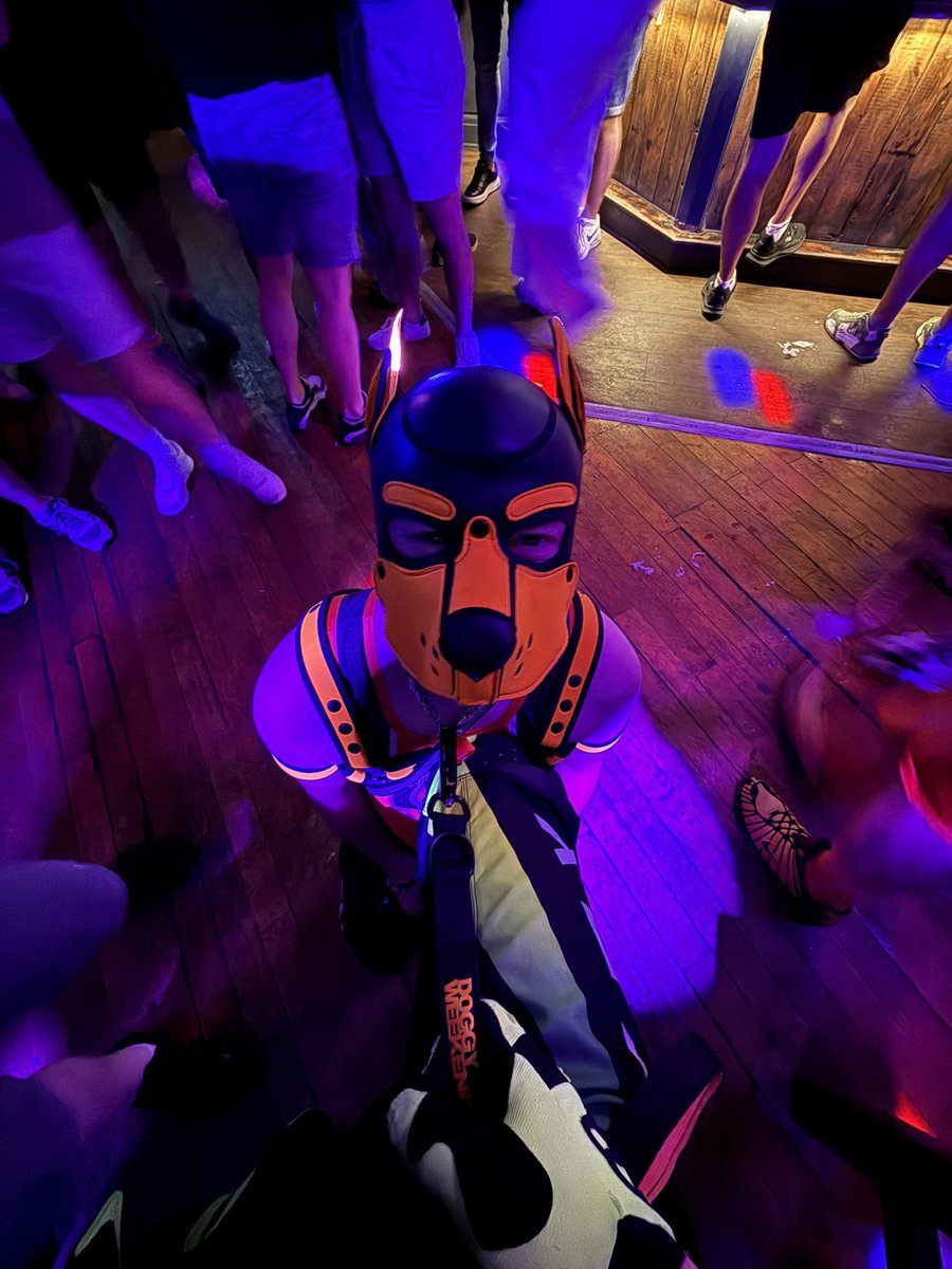 Reminding <a href="/PupJago1586/">Pup Jago 🔜 GCFW, Doggy Weekend</a> of his place 😈

#pupplay #puppyplay #subpuppy #pupkink #mcrpride #manchesterpride #kinkster